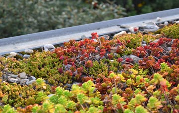 the cost of Trill green roof installation